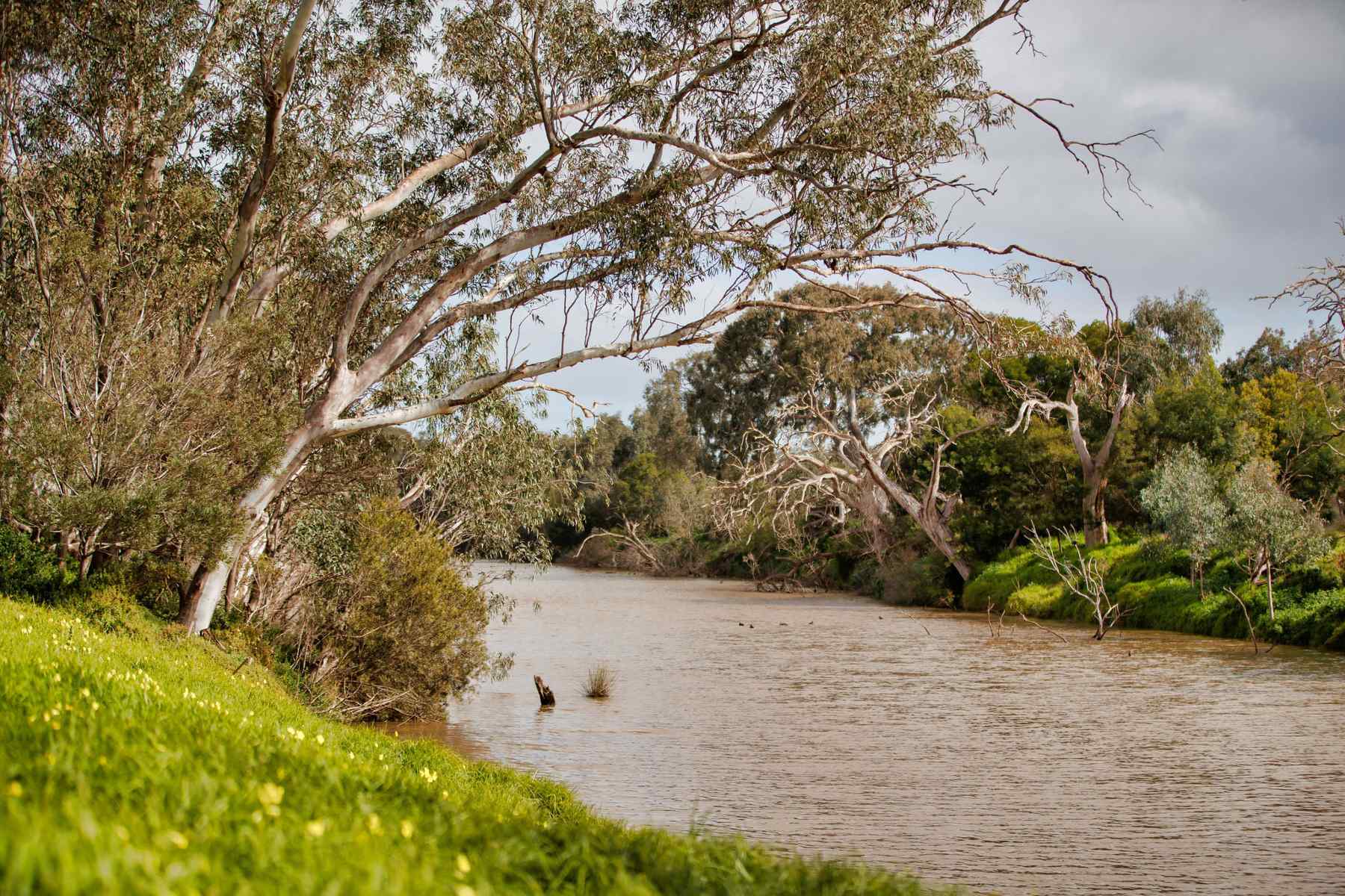 [Land for Sale] Riverwalk, Werribee OpenLot